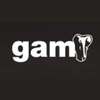 GAM | Construex
