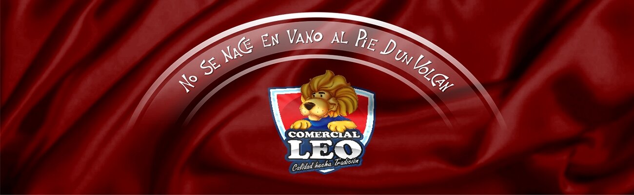 Comercial Leo | Construex