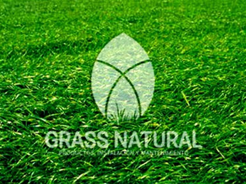 Grass Natural Nacional Perú - Inversiones Máximo Grass S.A.C | Construex