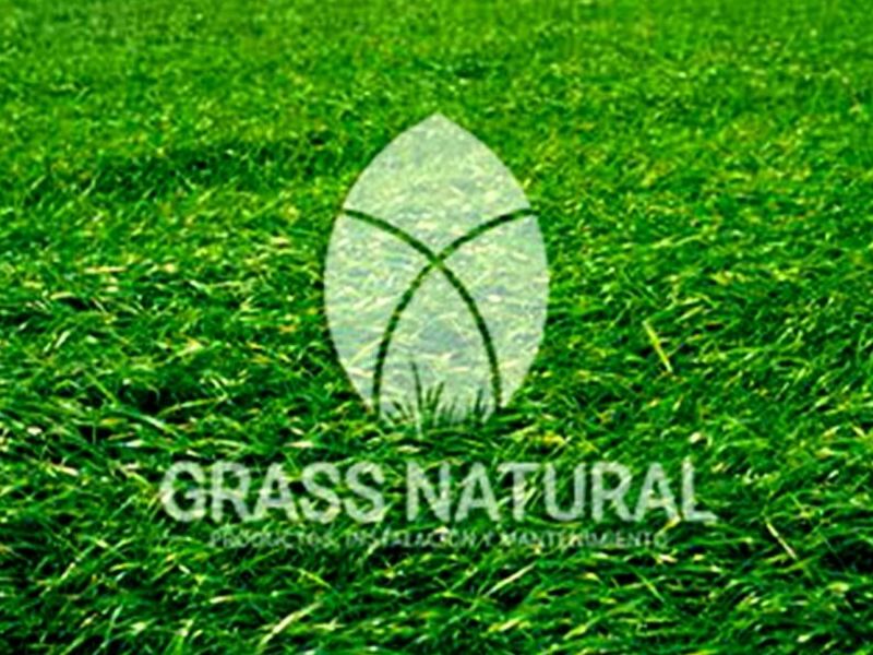 Grass Natural Nacional Perú - Vivero Dani | Construex