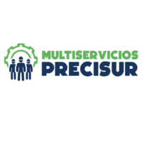 Multiservicios Precisur | Construex