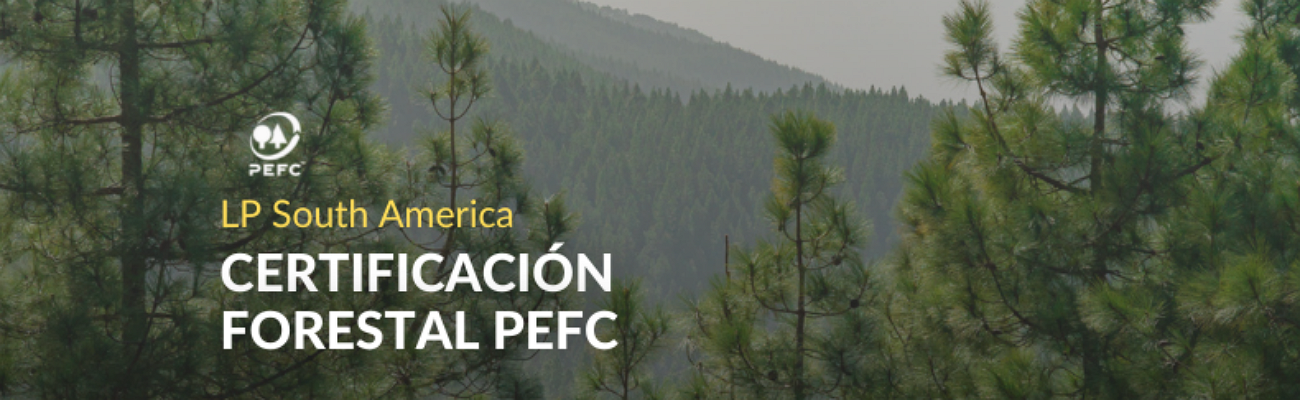 LP Perú | Construex