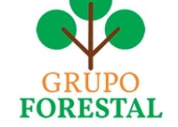 POSTES DE EUCALIPTO  GRUPO FORESTAL - VENTA DE MADERA